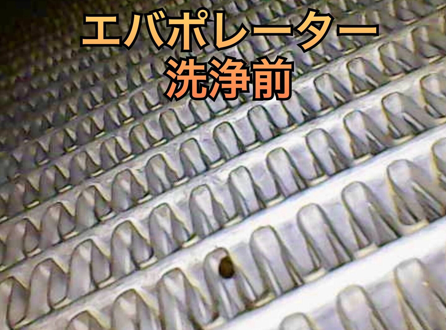 2019年式