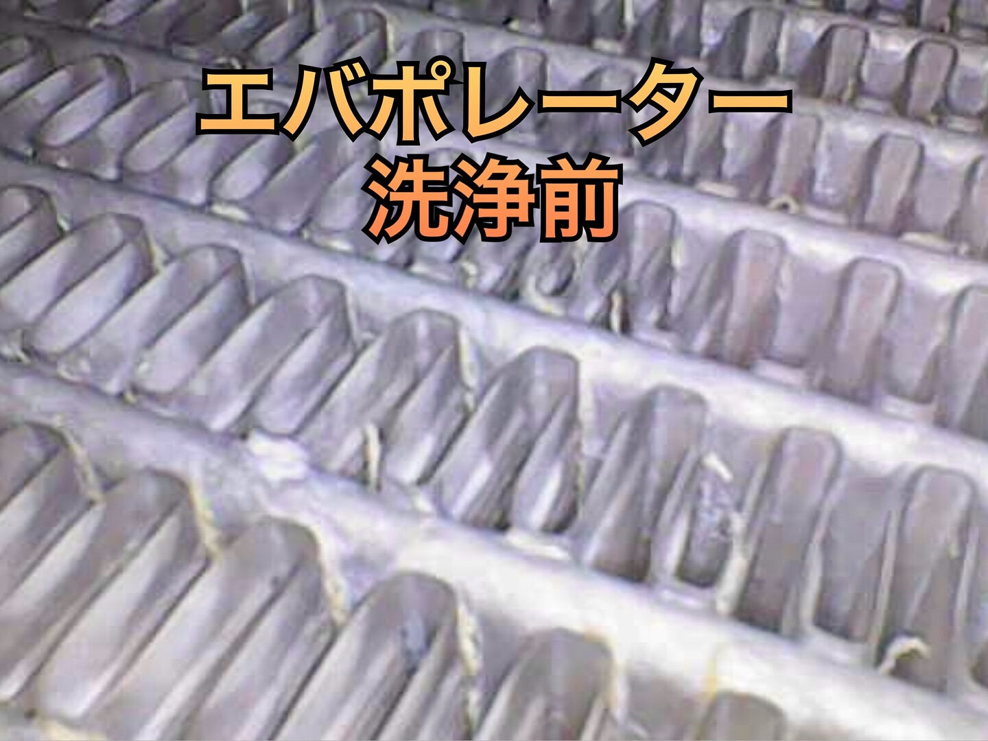 2019年式