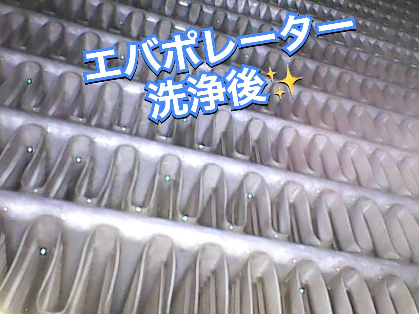 2019年式