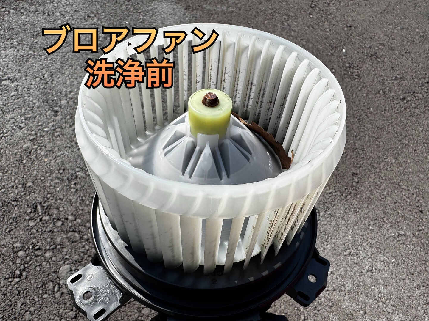 2019年式