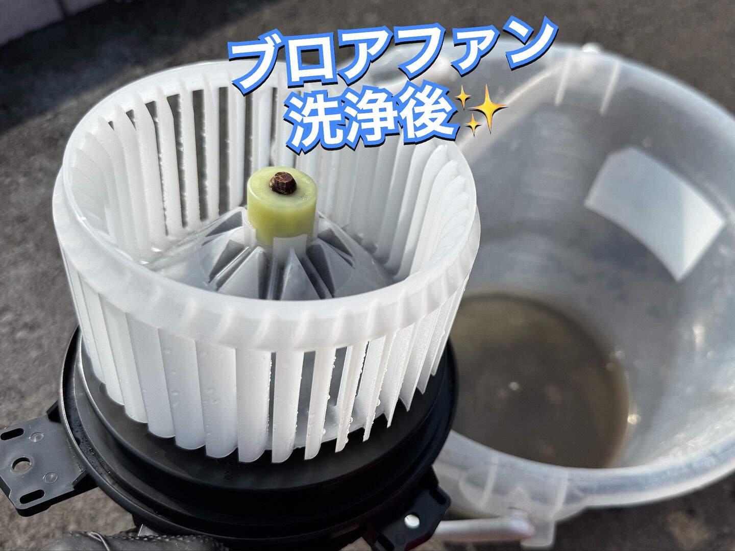 2019年式