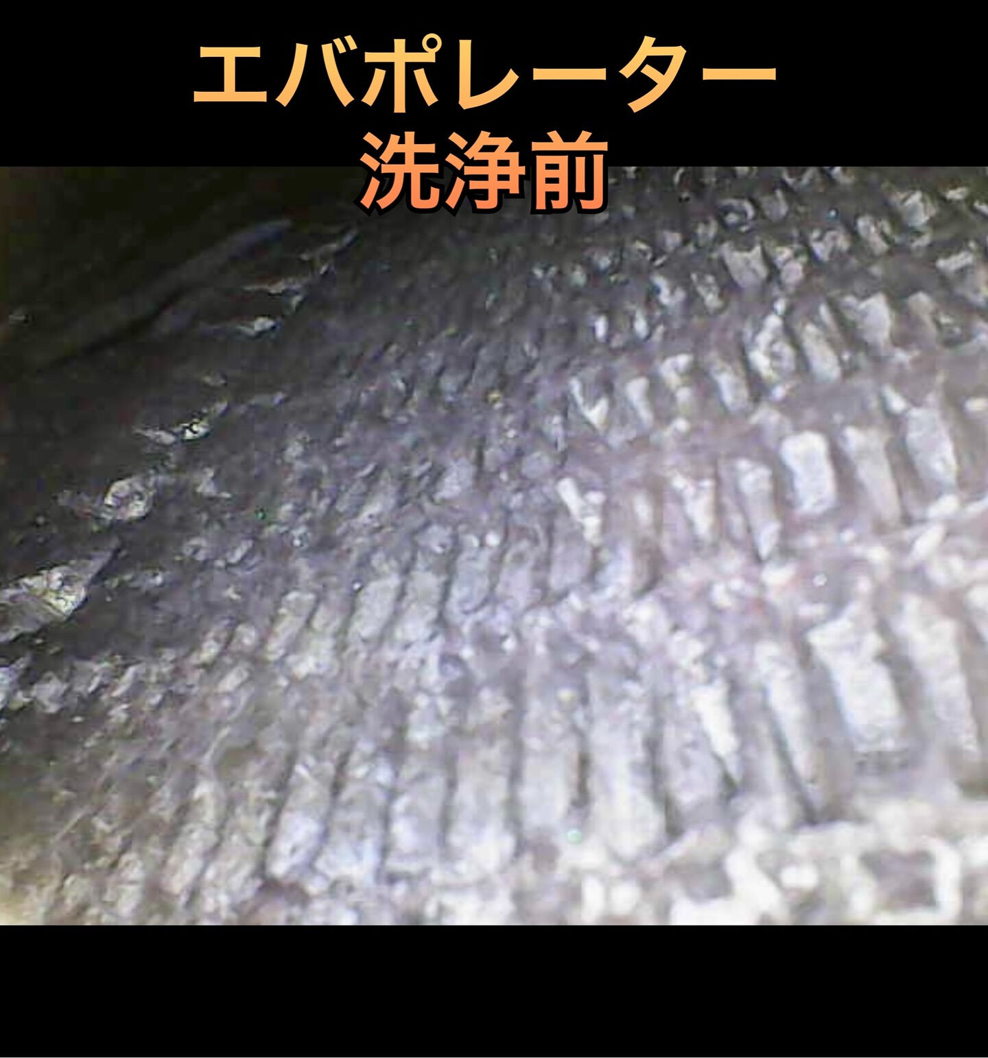 2018年式