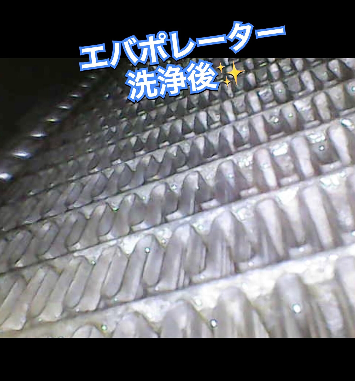 2018年式