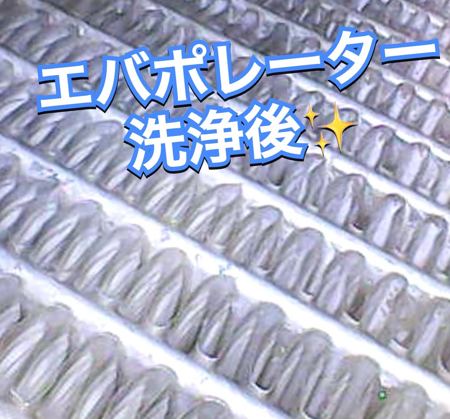 2022年式