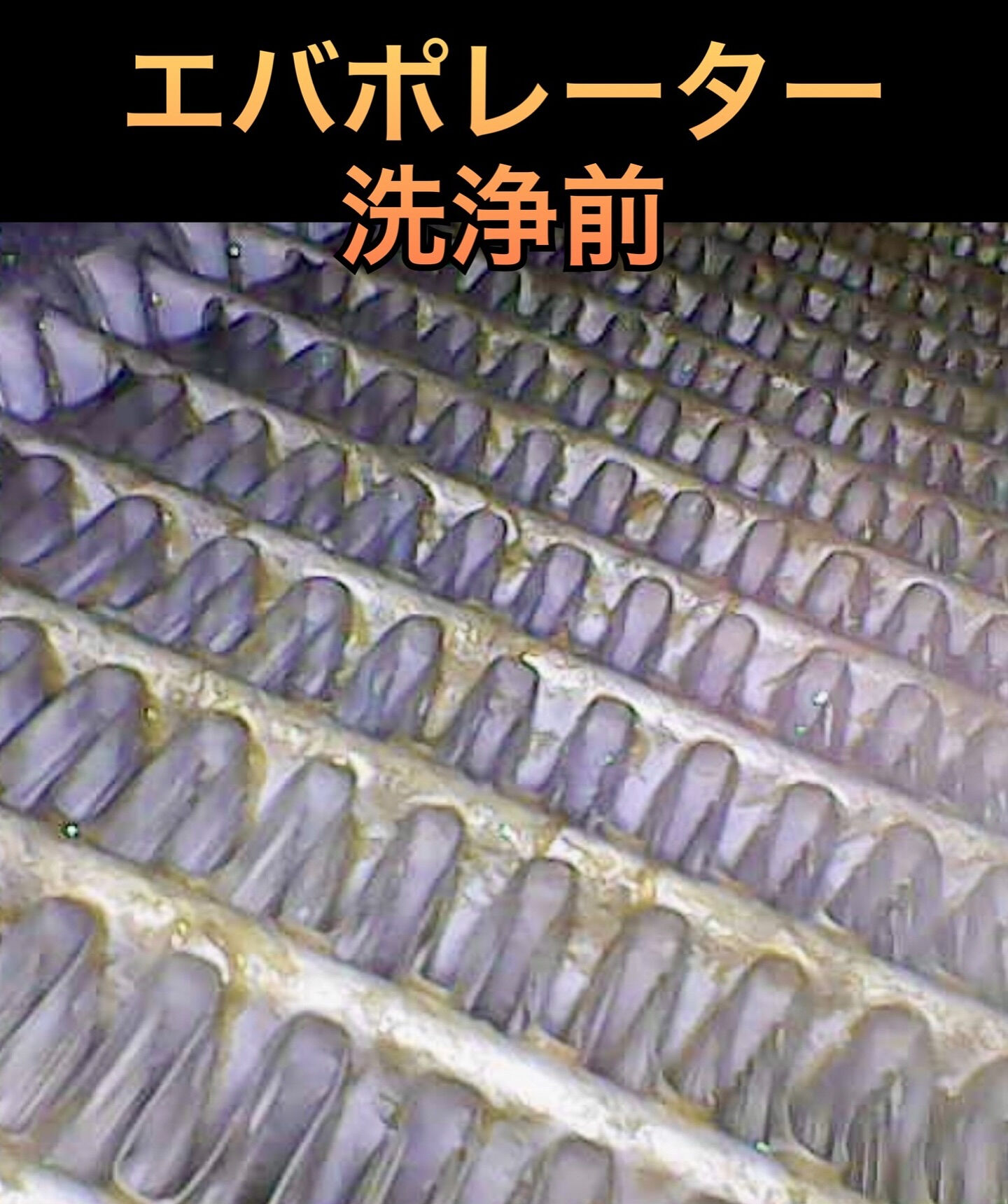 2019年式