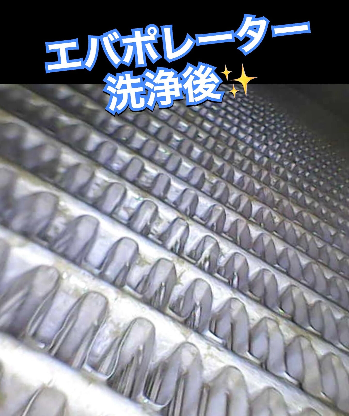 2019年式