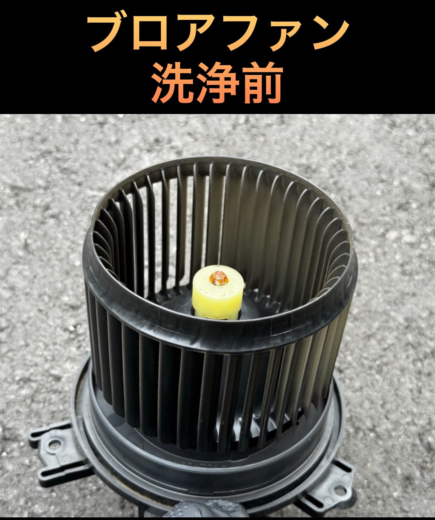 2019年式