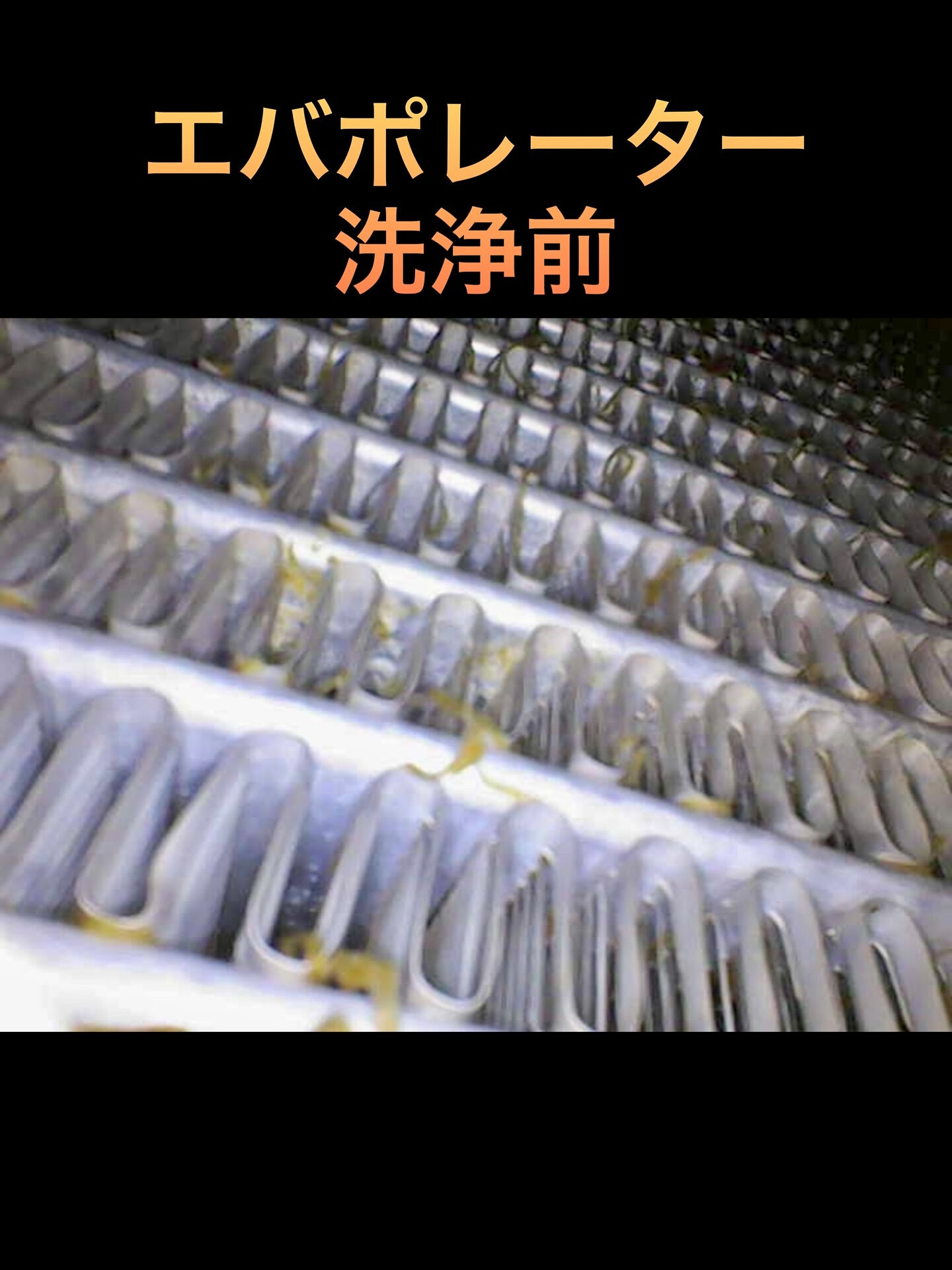2017年式
