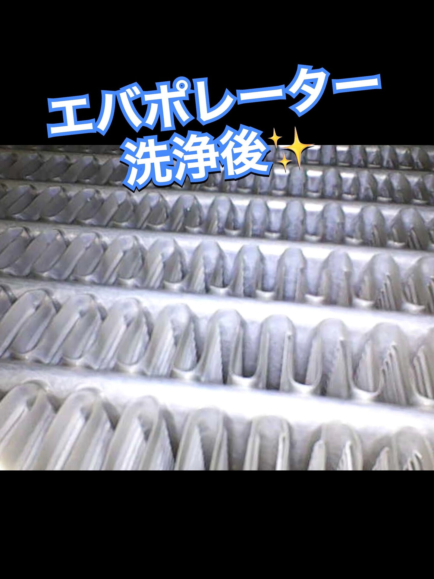2017年式