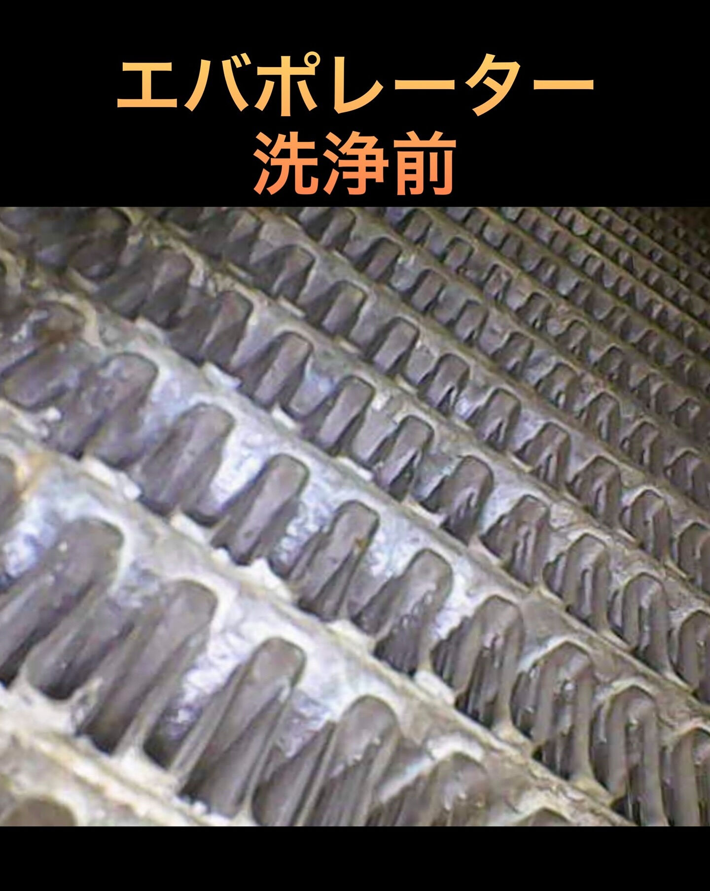 2013年式