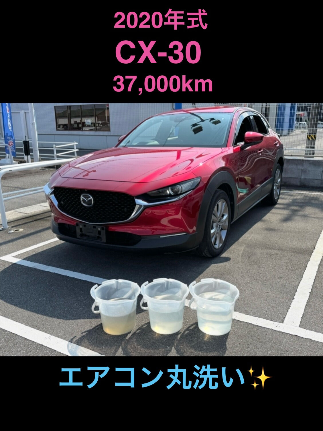 空気の洗車屋さん（カーエアコンクリーニング）