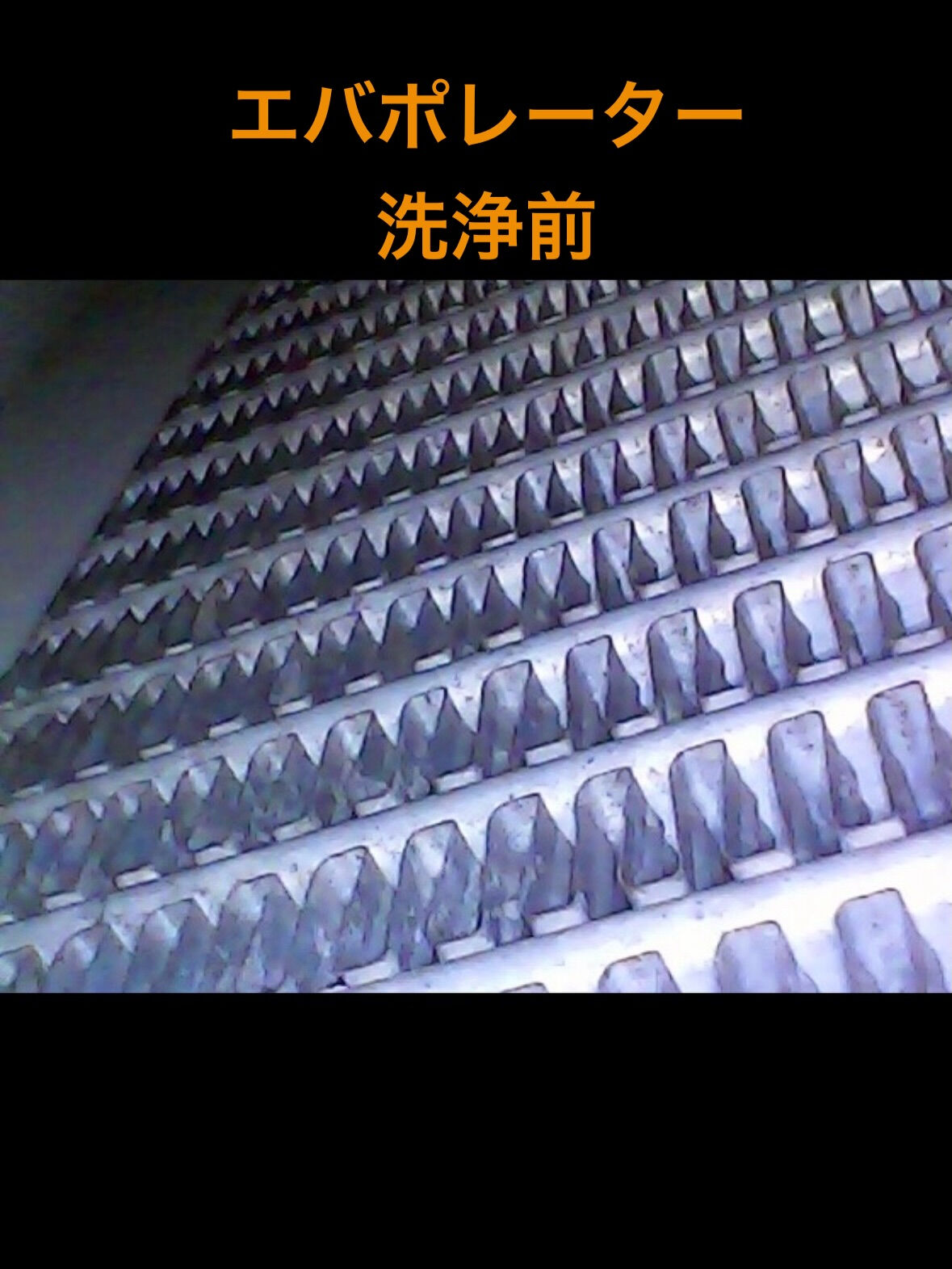 空気の洗車屋さん（カーエアコンクリーニング）