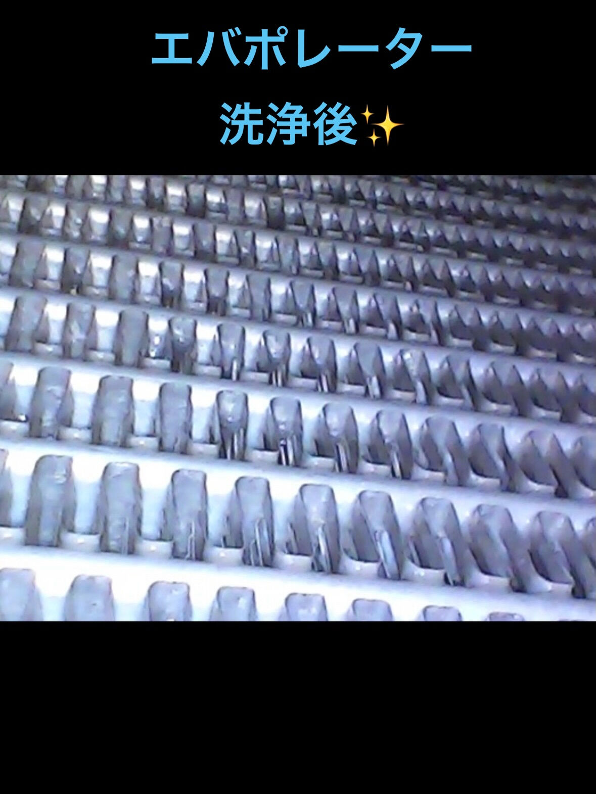 空気の洗車屋さん（カーエアコンクリーニング）