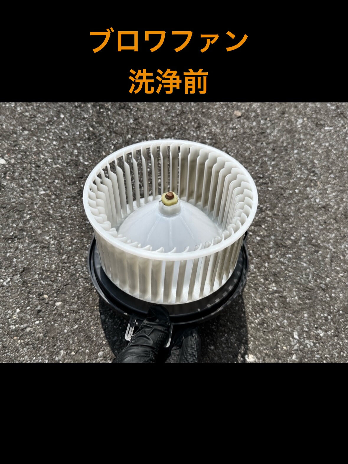 空気の洗車屋さん（カーエアコンクリーニング）