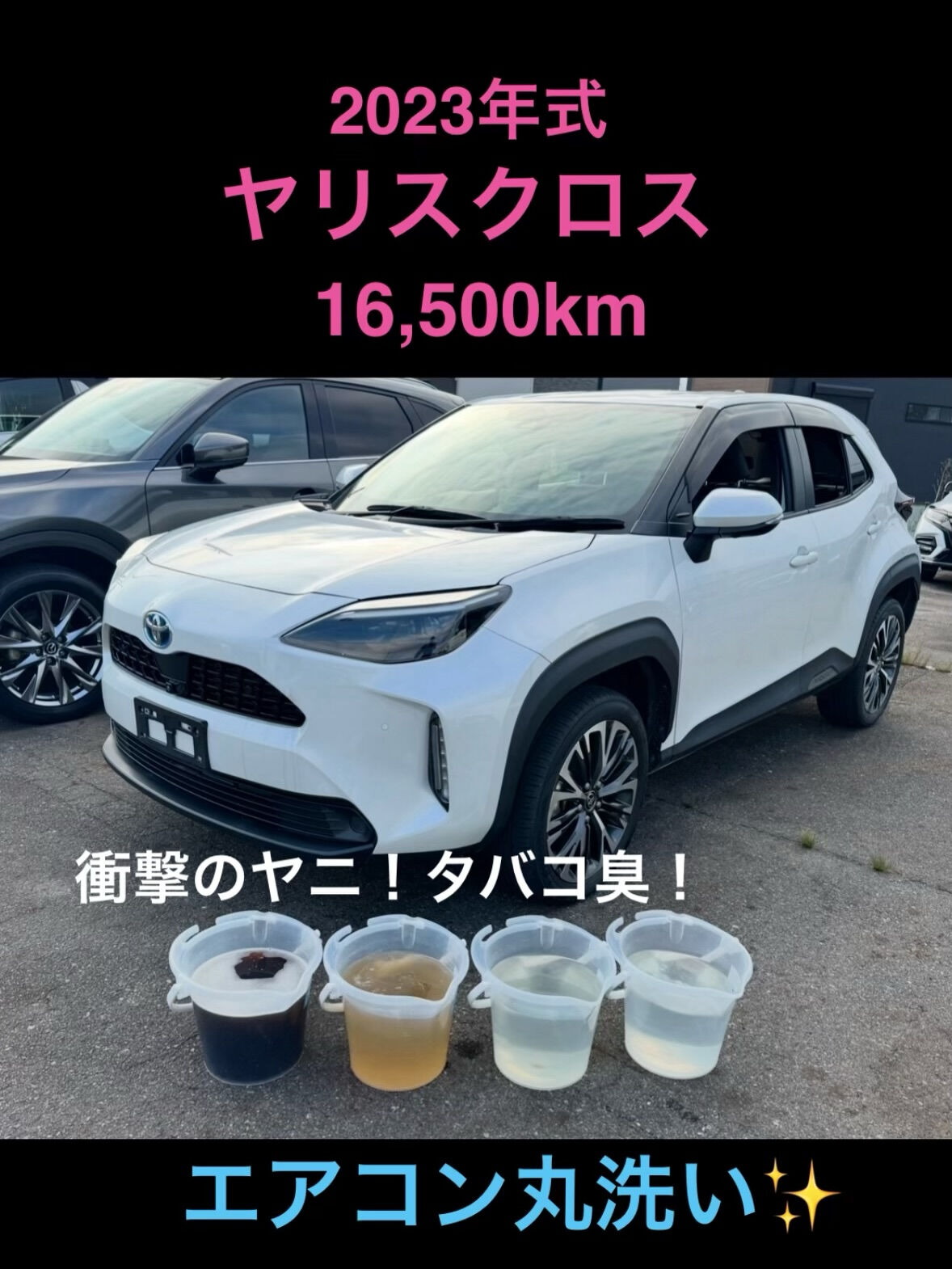 空気の洗車屋さん（カーエアコンクリーニング）