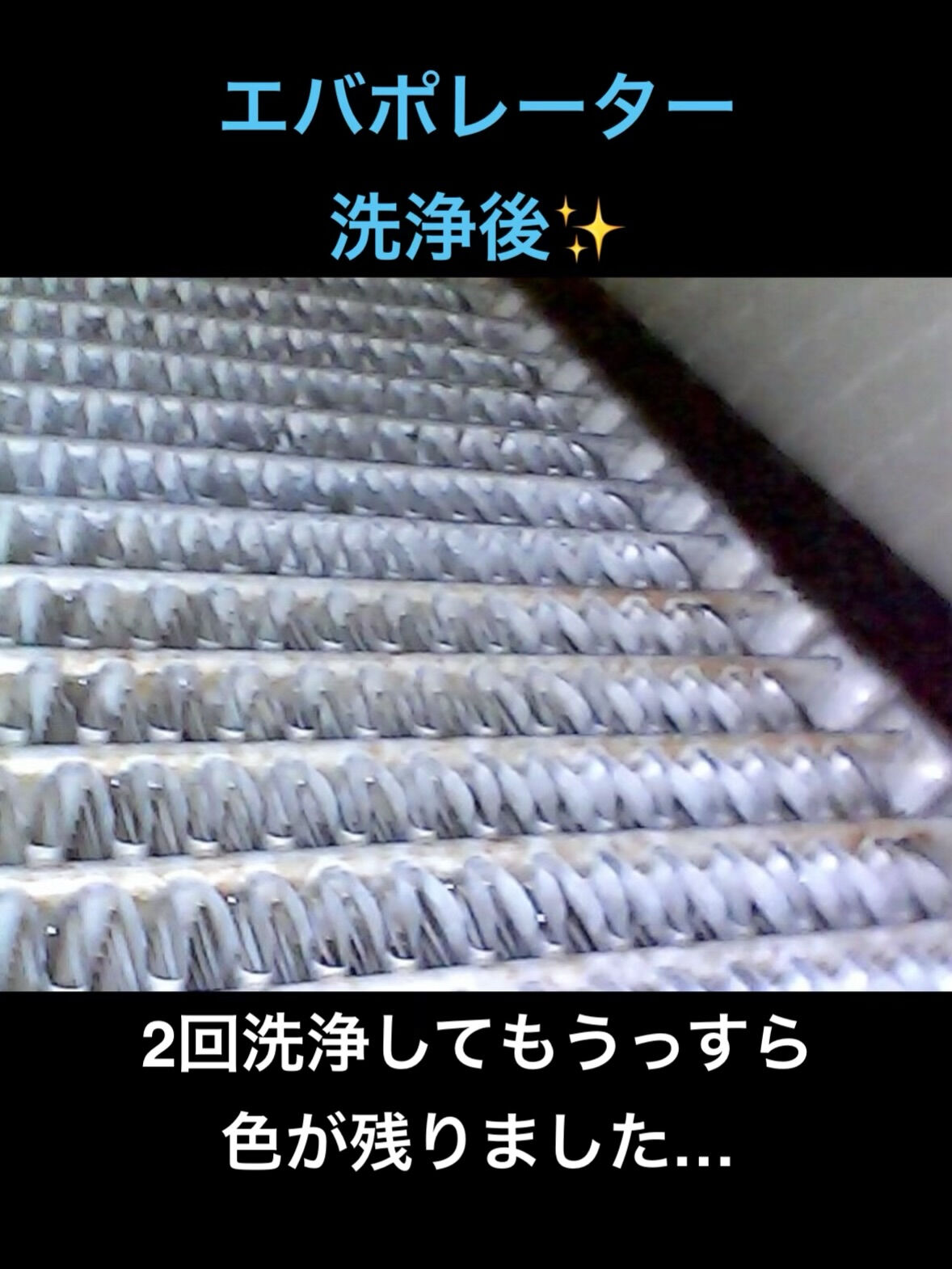 空気の洗車屋さん（カーエアコンクリーニング）
