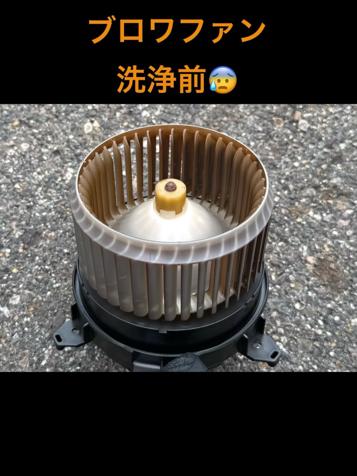 空気の洗車屋さん（カーエアコンクリーニング）