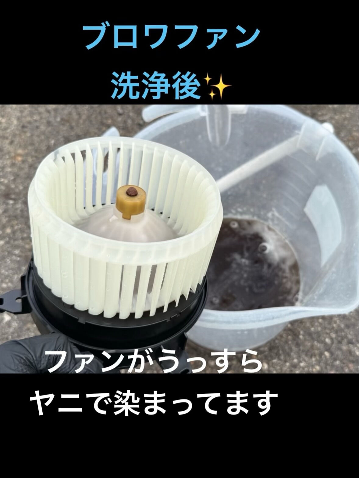 空気の洗車屋さん（カーエアコンクリーニング）
