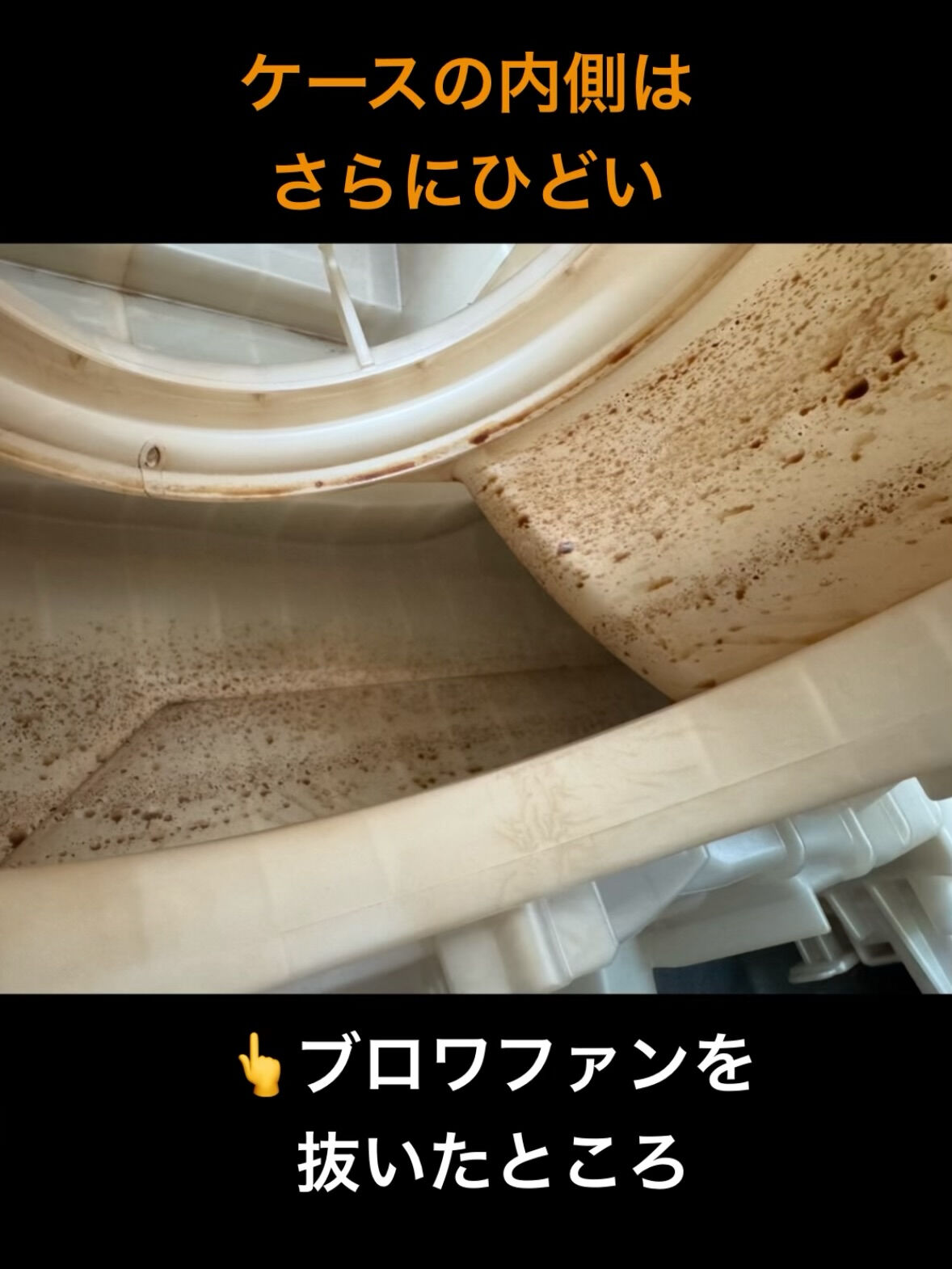 空気の洗車屋さん（カーエアコンクリーニング）