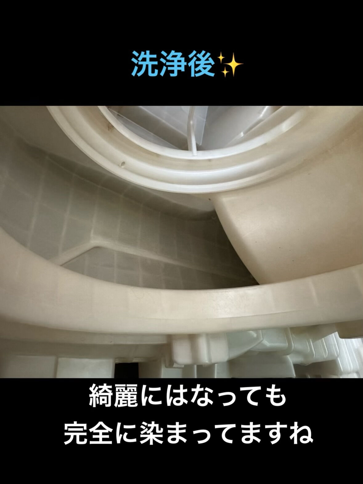 空気の洗車屋さん（カーエアコンクリーニング）