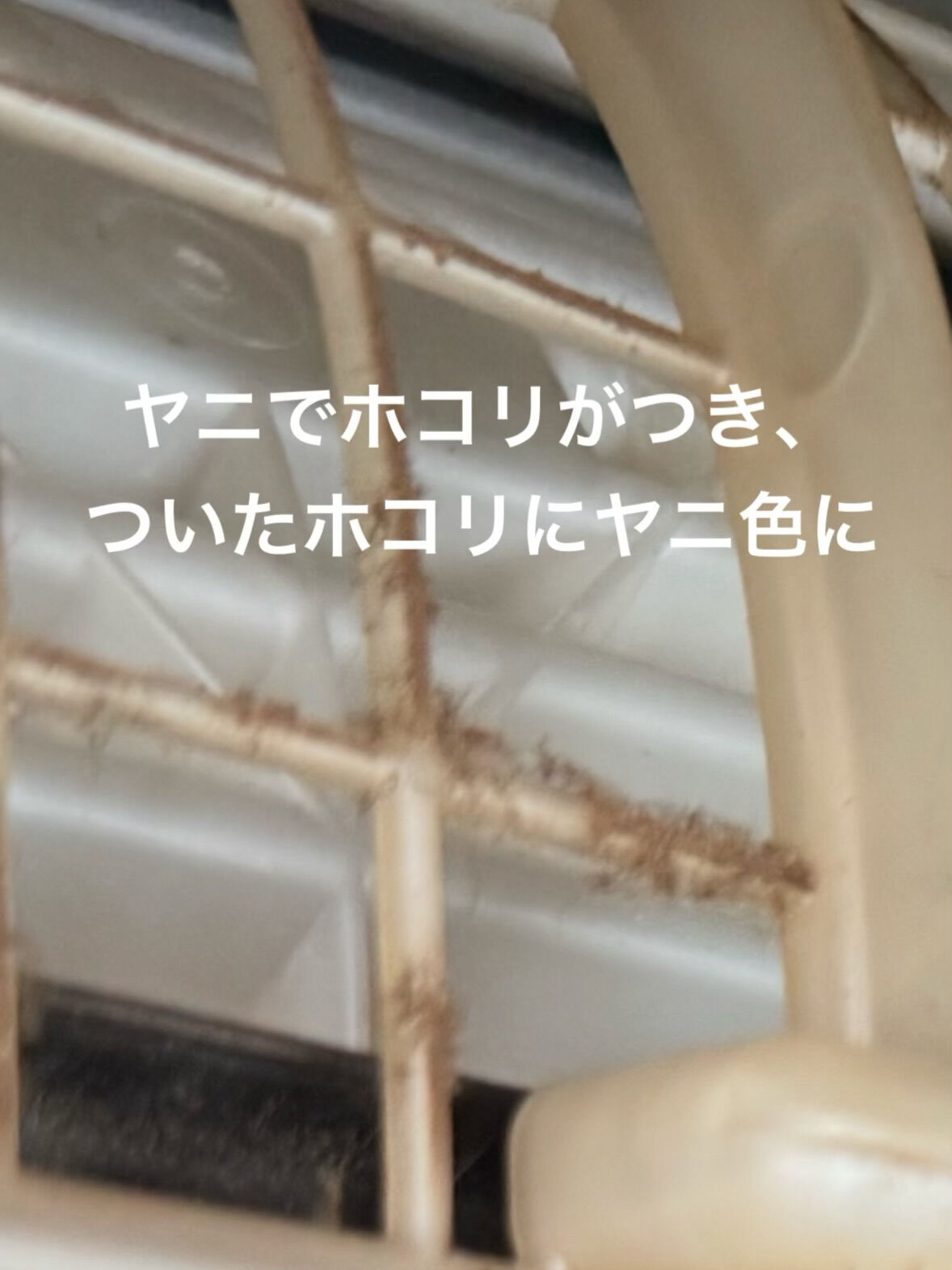 空気の洗車屋さん（カーエアコンクリーニング）