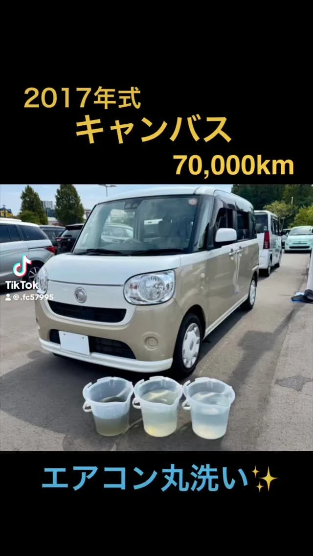 空気の洗車屋さん（カーエアコンクリーニング）